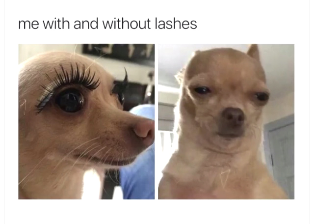 Before After